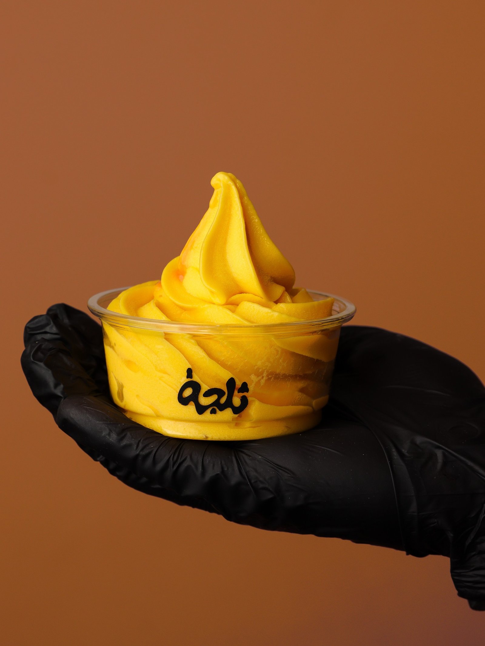 Mango icecream (med size)