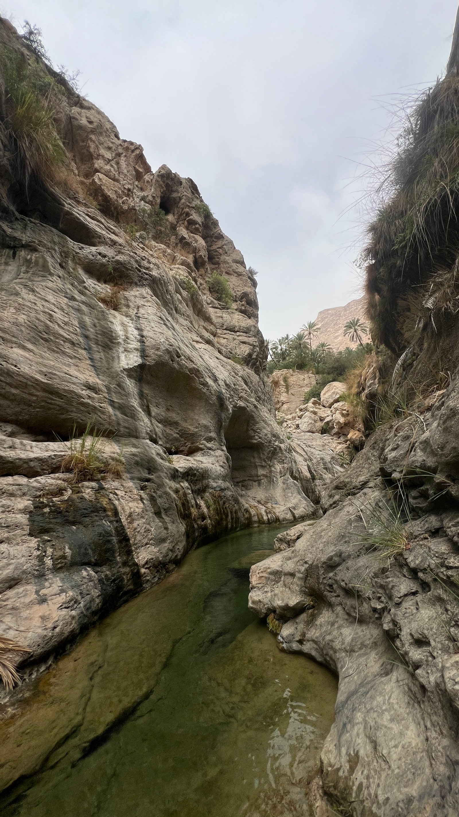 wadi Tiwi