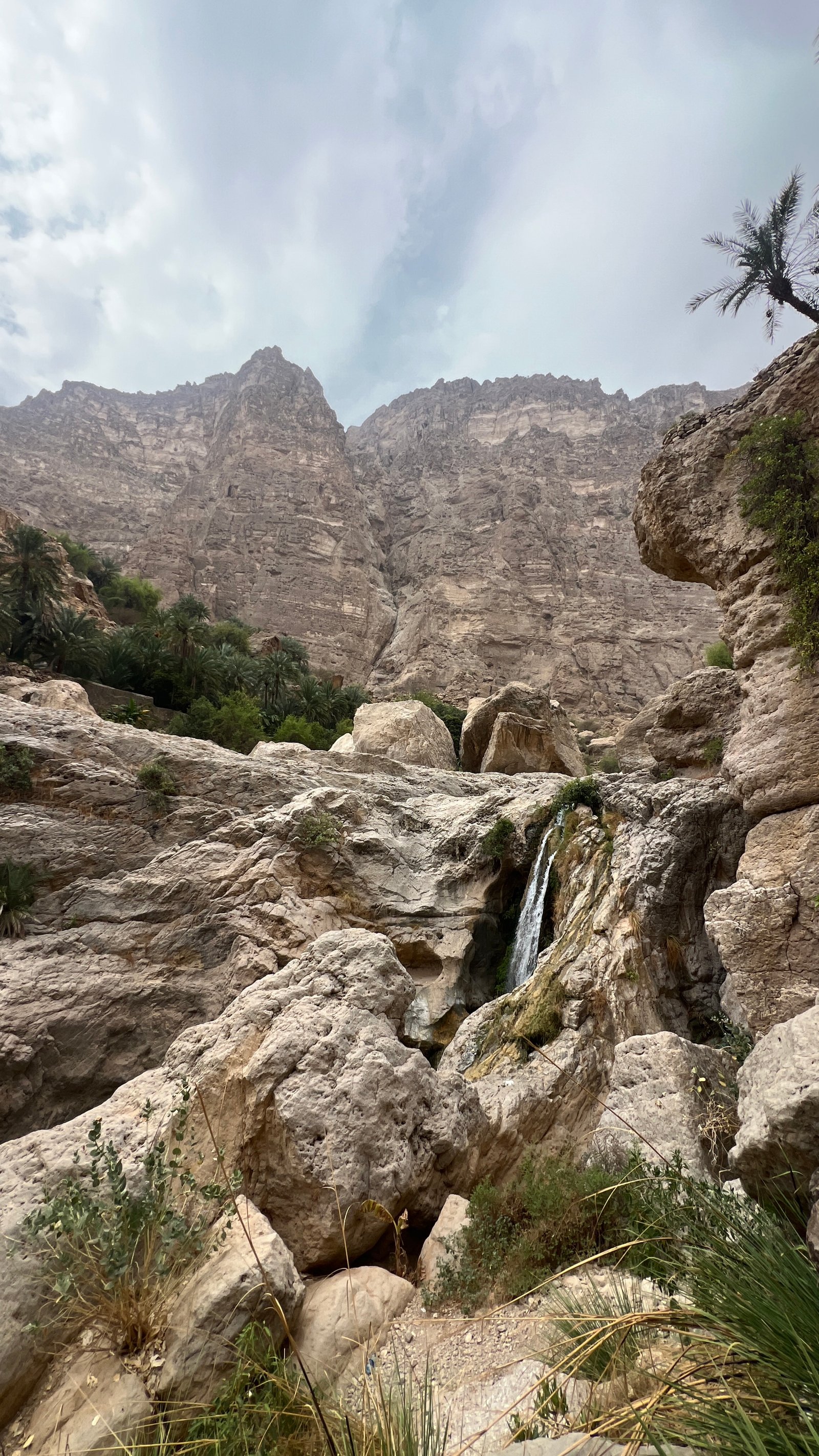 wadi Tiwi