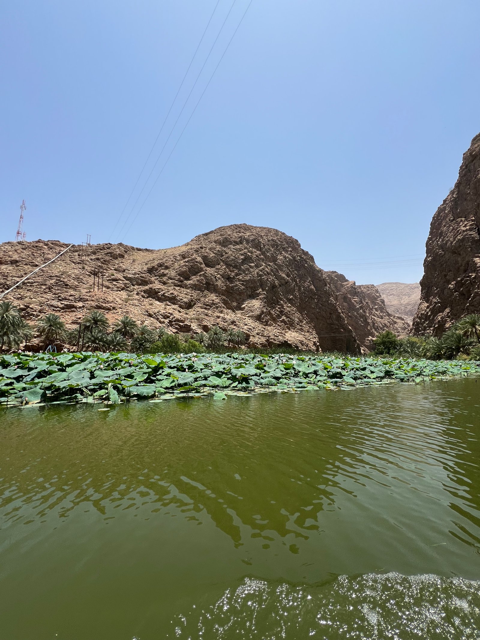 Wadi Shab