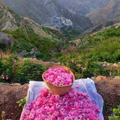 Nizwa & Jabal Akhdar Day Trip