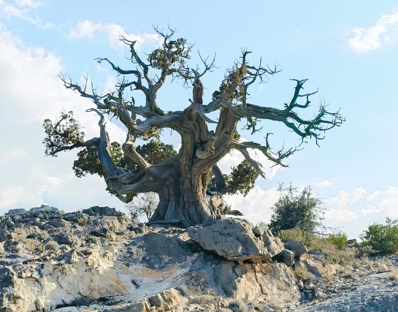 A trip to Jebel Akhdar