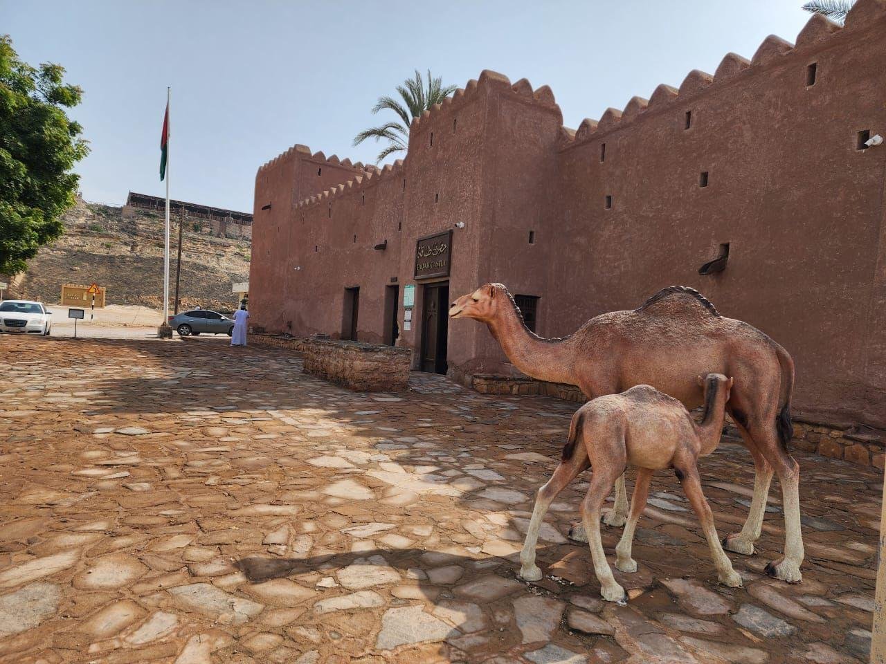 7 Days in Salalah During the Khareef Season