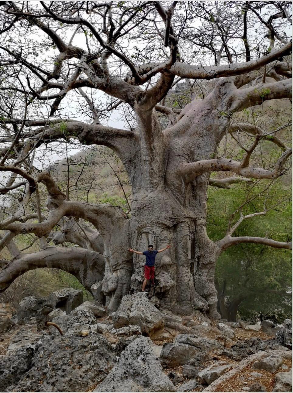 Salalah Discovery Tour – 2 Days