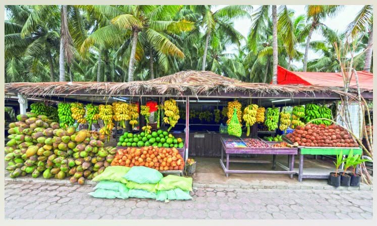 Salalah Discovery Tour – One Day